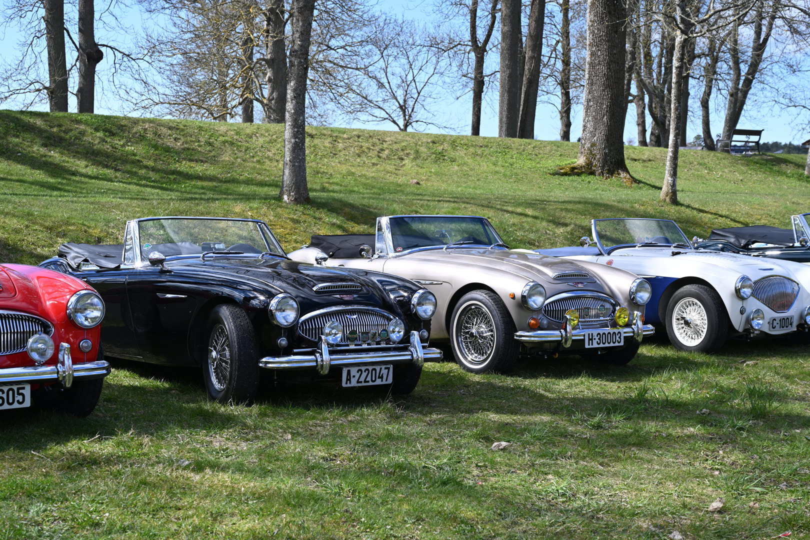 Austin Healeyene inntar festningsbyen